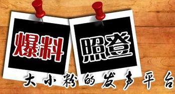 重庆最新爆料台,揭秘城市热点事件背后的真相